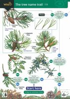 FSC Field Guide to Trees of Britain